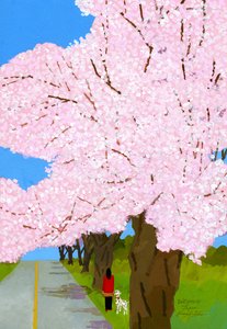 Cherry trees by Hiroyuki Izutsu