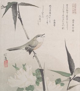 Roses and Bamboo with Nightingale