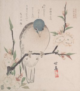 Spring Rain Collection Harusame Shu, vol. 3: Mountain Dove and Peach Flowers by Hokuba