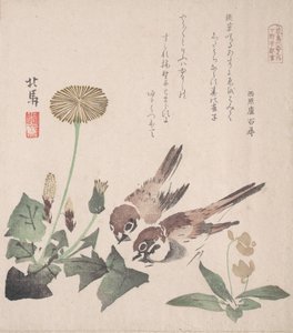 Spring Rain Collection Harusame shu, vol. 3: Sparrows and Dandelions by Hokuba