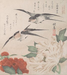 Spring Rain Collection Harusame shu, vol. 3: Swallows and Peonies, ca. 1820 by Hokuba