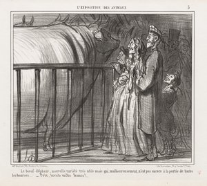 Exposition of Animals: Pl. 5, The Cow-Elephant, New Variety by Honoré Daumier