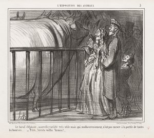 Exposition of Animals: The Cow-Elephant, New Variety by Honoré Daumier