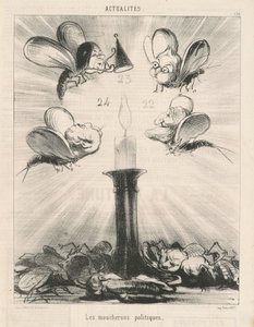 The Political Gnats