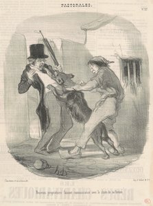New Owner Getting Acquainted with the Dog