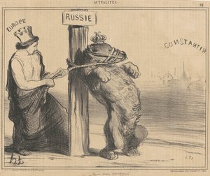 An Upset Bear