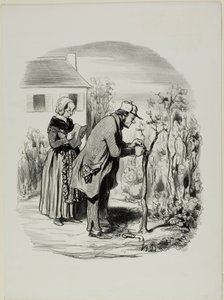 “- My graft of a cherry slip on an apricot tree really didn