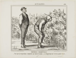 Emotions From the Countryside. "- Have to see how the wine grows… haven