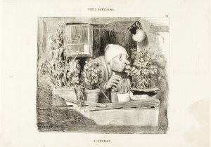 Smell, plate 38 from Types Parisiens by Honoré Victorin Daumier