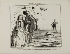 The Disadvantage of Shooting at Young Partridges with the New Explosive Bullets of Devisme, Plate 17 from Emotions of Hunting by Honoré Victorin Daumier