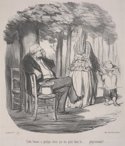 This Woman has Something I Like... In Her General Appearance! by Honoré Daumier