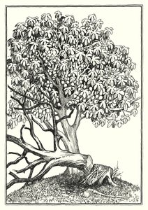 Illustration for The Sermon On The Mount