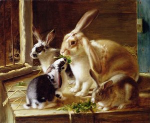 Long-Eared Rabbits in a Cage, Watched by a Cat