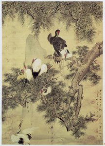 Eight Red-Crested Herons in a Pine Tree by Hua Yan