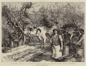 Vintage Time in a Podere or Small Farm at Monte Fiano, near Florence by Hubert von Herkomer