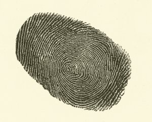 Fingerprint by Hugh Rowley