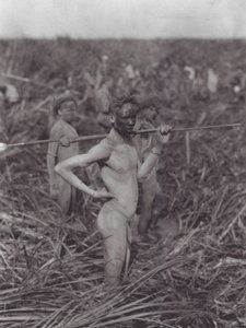 Africa: Nuer warriors in swamp