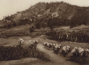 Mexico: Transport column in the interior of the country