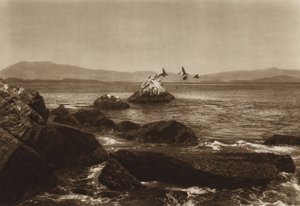 Mexico: Coast of Manzanillo, Pelicans, Colima State by Hugo Brehme