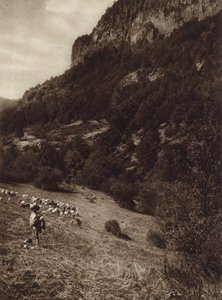 Mexico: La Canada, Contreras, D.F.