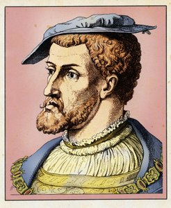 Portrait of Charles V