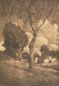 Camera Work: Pomeranian Motif by Hugo Henneberg