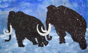 Ice Age by Hugo Nefe
