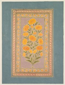 Flowering Marigold by Hunhar II