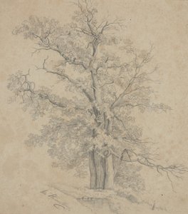 Tree by Ida Weisselberg Hadra