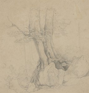Tree and Rock by Ida Weisselberg Hadra