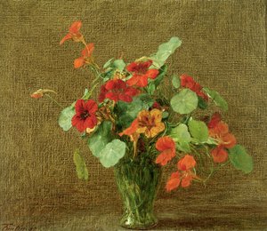 Capucines (Nasturtiums)