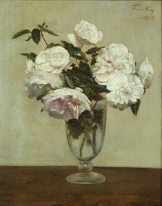 Pink Roses