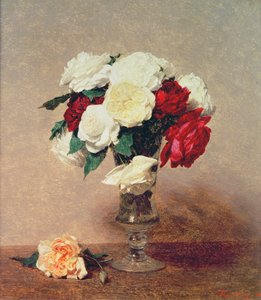 Unknown Image