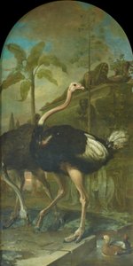A Pair of Ostriches, with a Sarcophagus in the Background