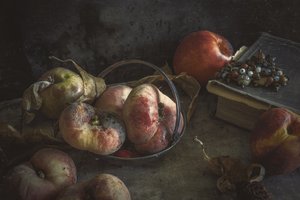Moody Autumn Fruit by Igor Tokarev
