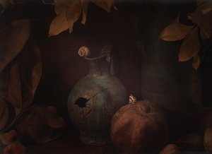 Moody Still Life Pomegranate by Igor Tokarev