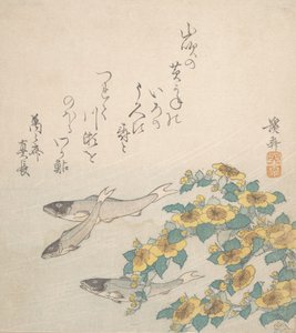 Fishes Swimming with Yellow Flowers by Ikeda Eisen