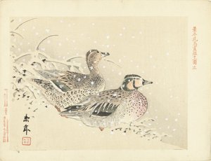Pair of Ducks in the Snow
