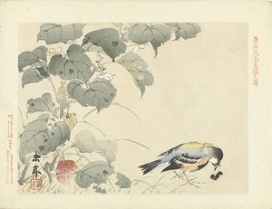 Bird by Caterpillar