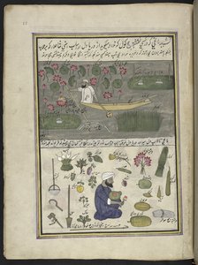 Boatman collecting lotus-root; farming on the water, 86 drawings bound into a volume depicting trades and occupations in Kashmir, Craftsmen are shown at work with their implements and equipment, By a Kashmir artist, probably at Srinagar by Indian School