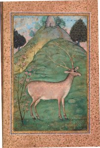 Buck in a Landscape