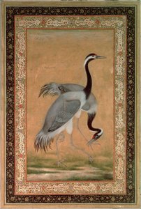 Cranes by Mansur, Jahangir Period, Mughal by Indian School