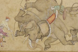 An elephant combat, with border floral arabesque (detail) by Indian School