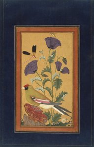 Finch, Poppies, Dragonfly, and Bee