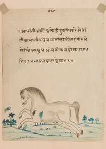 Horse by Indian School