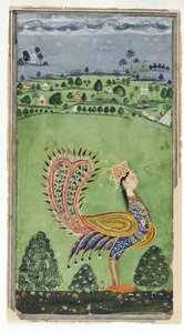 Mythical Peacock with a Woman