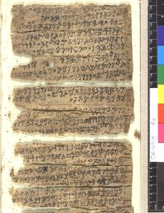 Fragments of birch bark manuscript in Kharoshthi
