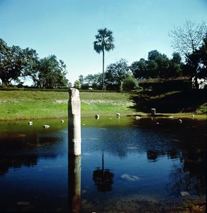 Ruins of the Palace of Pataliputra by Indian School