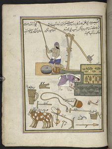 Vegetable Cultivators with Well, from 
