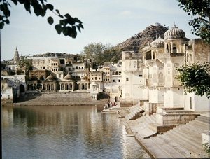 View of the City